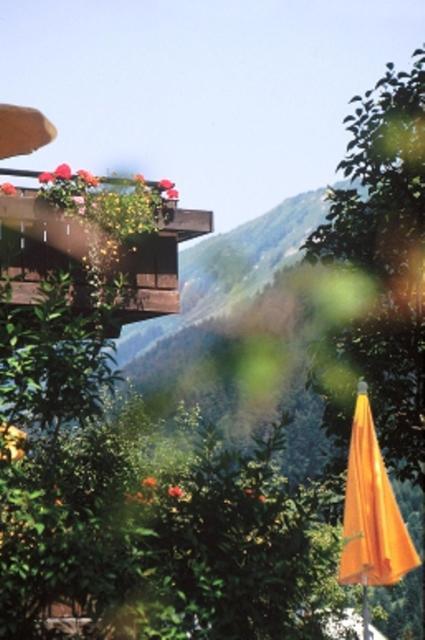 Hotel Adler Garni Гіршеґґ Екстер'єр фото